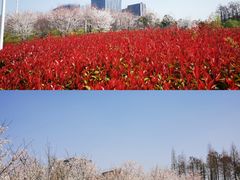 -大宁公园