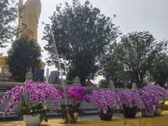 -广州莲花山旅游区