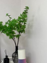 -变美丽半永久定妆连锁·纹眉·机器野生眉