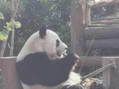 -南宁市动物园