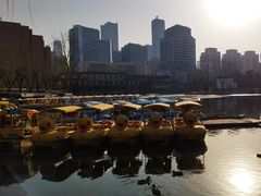 -团结湖公园