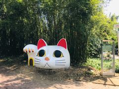 -漳州滨海火山岛自然生态风景区