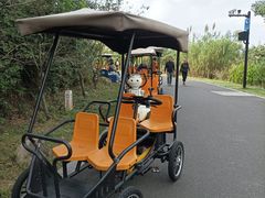 -东钱湖旅游度假区