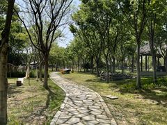 -贡湖湾湿地公园