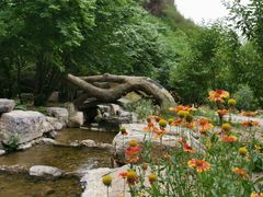 -十渡东湖港风景区