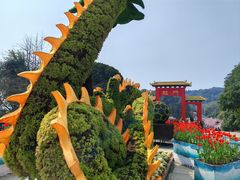 -南山植物园