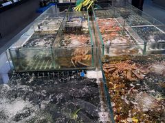 -大灶头·新昌菜(中国茶市店)
