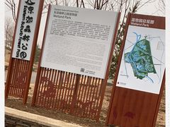 -东郊湿地公园