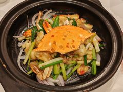 -粤珍轩·家宴·广式茶点(新城广场店)