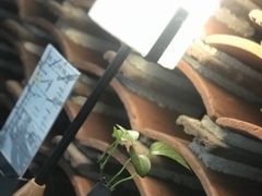 -花迹(富春江东街店)