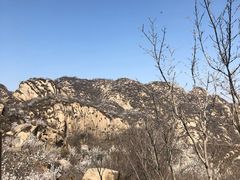 -大岭沟猕猴桃谷风景区
