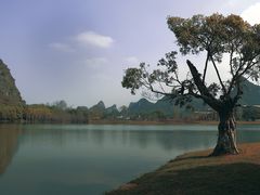 -南宁花花大世界景区