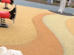 -昆山城市生态森林公园