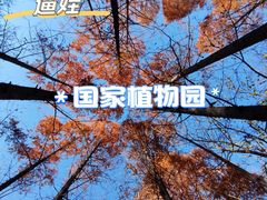 -国家植物园
