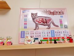 -美联众合爱康动物医院•复杂内科•肿瘤科•牙科•腔镜诊疗中心