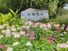 -海淀公园