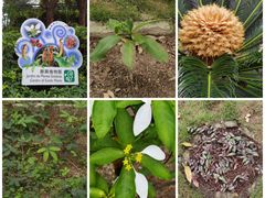 -石排湾郊野公园