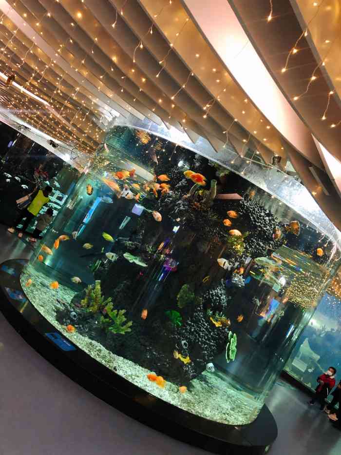 这家最有特色的 就是这个水族区  一共三块区域虽然没有海底世界丰富