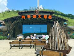 -仰天湖大草原