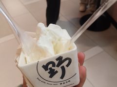 -野人先生现做冰淇淋(北京环宇荟店)