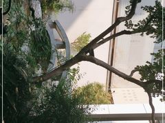 -绣园·茶食宴(湘绣博物馆店)