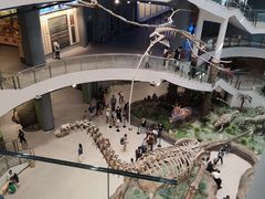 -辽宁古生物博物馆