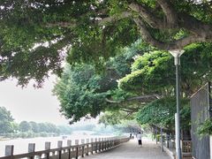 -光明港公园