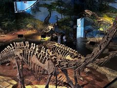 -自贡恐龙博物馆