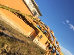 -乡绅本色白家厨坊