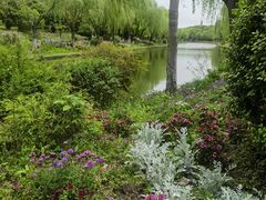 -上海鲜花港