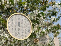 -成都欢乐谷