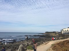 -Cafe Aewol Monsant