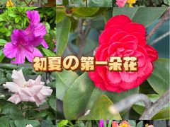 -红跑车(三孝口店)