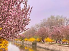 -元大都城垣遗址公园