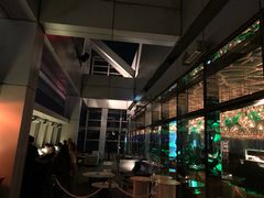 -OZONE 顶楼酒吧(香港丽思卡尔顿酒店)