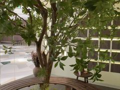 -静耳元気采耳·按摩·SPA(万象前海店)