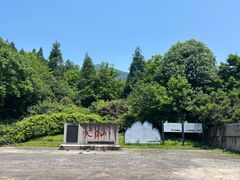 -天目山大树王景区