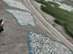 -汤山公园