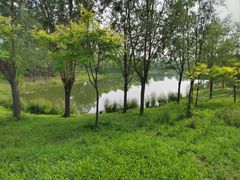 -东郊湿地公园