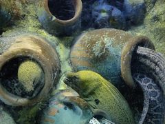 -太平洋海底世界