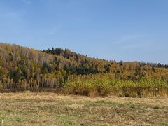 -五营红松林海景区