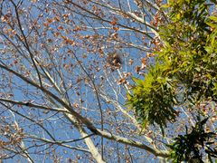 -春晖园度假酒店温泉