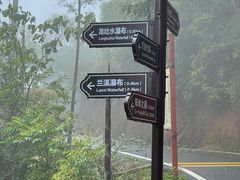 -江西阳明山国家森林公园