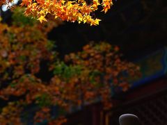-香山公园