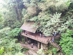 -莫干山风景区