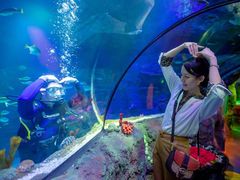 -沈阳海洋探索中心