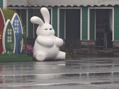 -荷兰花海