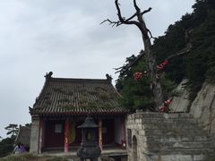 -王家大院