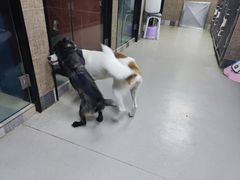 -联合动物医院(光谷诊疗中心)