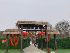 -香雪海